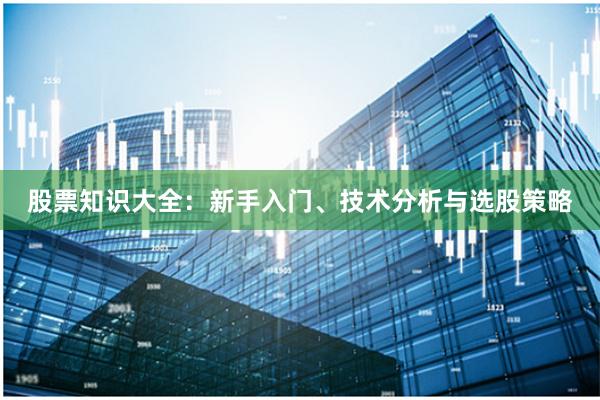 股票知识大全：新手入门、技术分析与选股策略