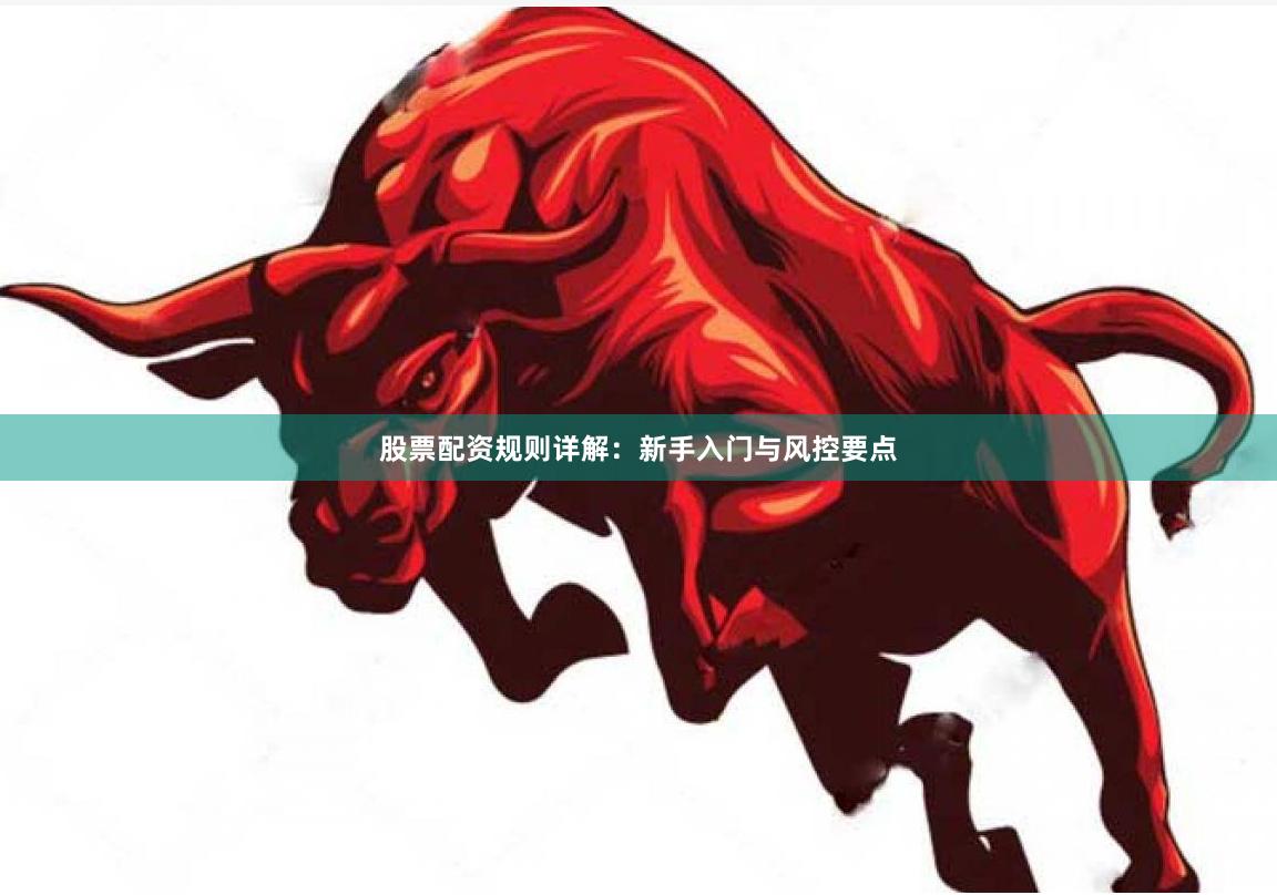 股票配资规则详解：新手入门与风控要点
